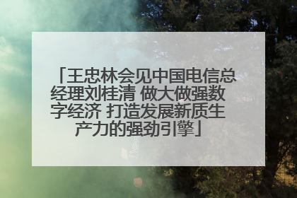 王忠林会见中国电信总经理刘桂清 做大做强数字经济 打造发展新质生产力的强劲引擎