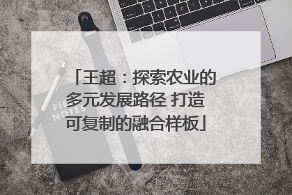 王超：探索农业的多元发展路径 打造可复制的融合样板