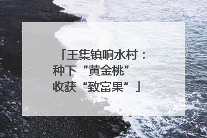 王集镇响水村：种下“黄金桃” 收获“致富果”