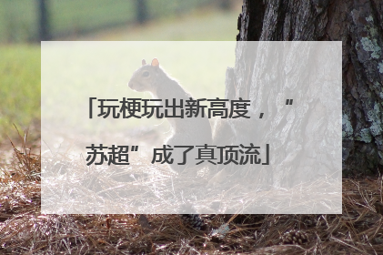 玩梗玩出新高度，“苏超”成了真顶流