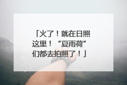 火了！就在日照这里！“夏雨荷”们都去拍照了！