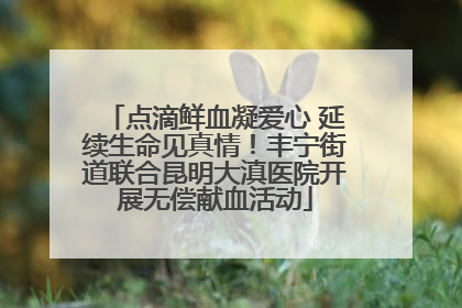 点滴鲜血凝爱心 延续生命见真情！丰宁街道联合昆明大滇医院开展无偿献血活动