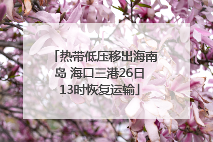 热带低压移出海南岛 海口三港26日13时恢复运输