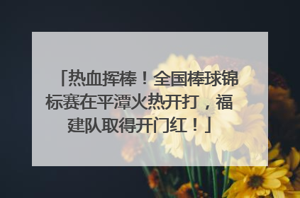 热血挥棒！全国棒球锦标赛在平潭火热开打，福建队取得开门红！