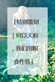 特别策划｜何以天府，我们用粮食作答