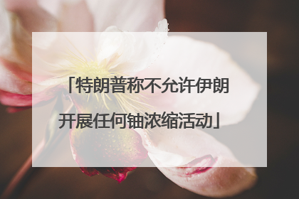 特朗普称不允许伊朗开展任何铀浓缩活动