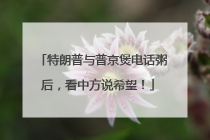 特朗普与普京煲电话粥后，看中方说希望！
