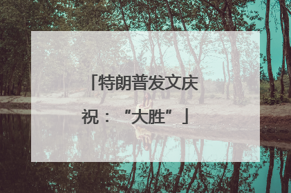 特朗普发文庆祝：“大胜”