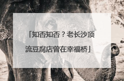 知否知否？老长沙顶流豆腐店曾在幸福桥