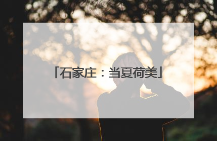 石家庄：当夏荷美
