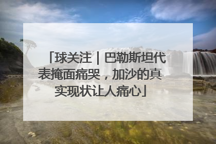 球关注｜巴勒斯坦代表掩面痛哭，加沙的真实现状让人痛心
