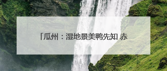 瓜州：湿地景美鸭先知 赤麻鸭为荒漠湿地“上大分”