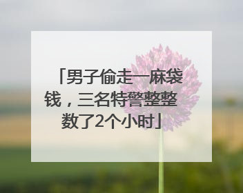 男子偷走一麻袋钱，三名特警整整数了2个小时