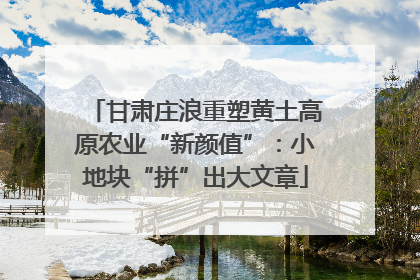 甘肃庄浪重塑黄土高原农业“新颜值”：小地块“拼”出大文章