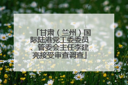 甘肃（兰州）国际陆港党工委委员、管委会主任李建亮接受审查调查