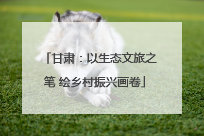 甘肃：以生态文旅之笔 绘乡村振兴画卷