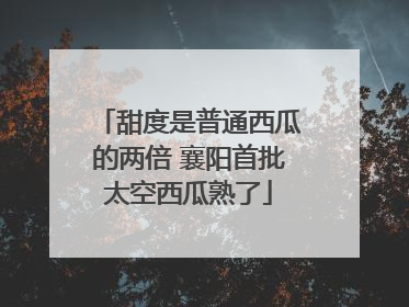 甜度是普通西瓜的两倍 襄阳首批太空西瓜熟了