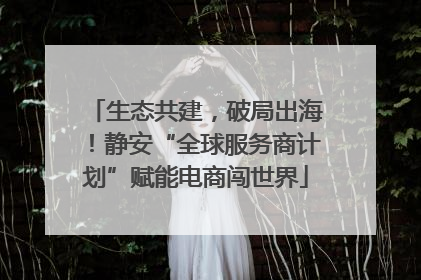 生态共建，破局出海！静安“全球服务商计划”赋能电商闯世界