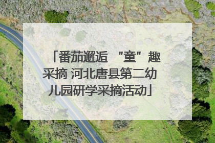 番茄邂逅 “童”趣采摘 河北唐县第二幼儿园研学采摘活动