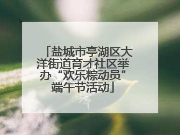 盐城市亭湖区大洋街道育才社区举办“欢乐粽动员”端午节活动
