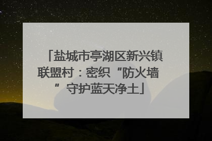 盐城市亭湖区新兴镇联盟村：密织“防火墙”守护蓝天净土
