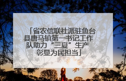 省农信联社派驻鱼台县唐马镇第一书记工作队助力“三夏”生产 彰显为民担当