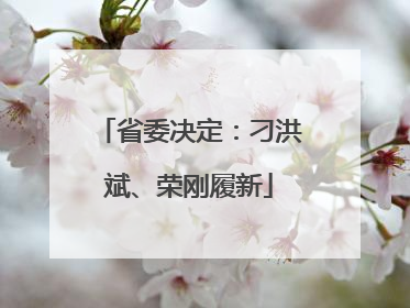 省委决定：刁洪斌、荣刚履新
