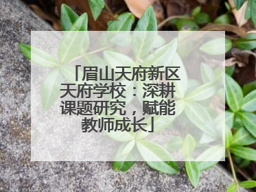 眉山天府新区天府学校：深耕课题研究，赋能教师成长
