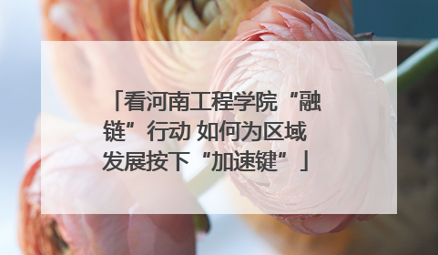 看河南工程学院“融链”行动 如何为区域发展按下“加速键”
