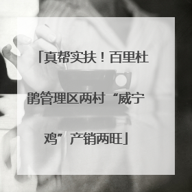 真帮实扶！百里杜鹃管理区两村“威宁鸡”产销两旺