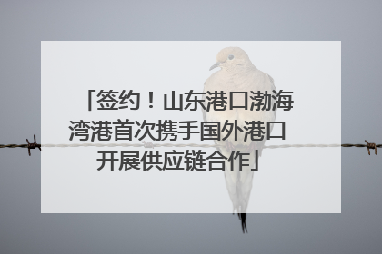 签约！山东港口渤海湾港首次携手国外港口开展供应链合作