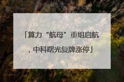 算力“航母”重组启航，中科曙光复牌涨停