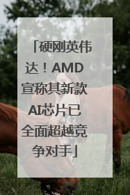 硬刚英伟达！AMD宣称其新款AI芯片已全面超越竞争对手