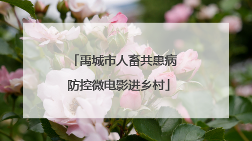 禹城市人畜共患病防控微电影进乡村