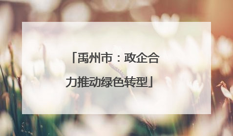 禹州市：政企合力推动绿色转型