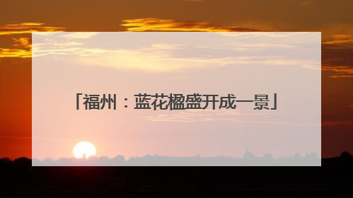 福州：蓝花楹盛开成一景