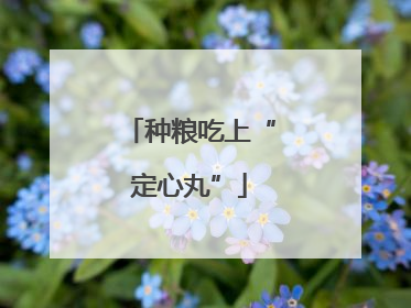 种粮吃上“定心丸”