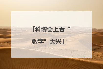 科博会上看“数字”大兴