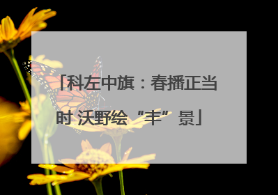 科左中旗：春播正当时 沃野绘“丰”景