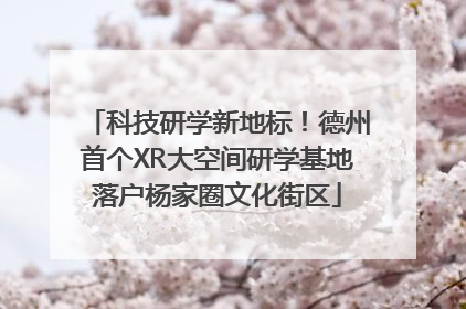 科技研学新地标！德州首个XR大空间研学基地落户杨家圈文化街区