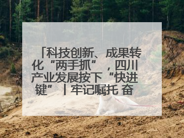 科技创新、成果转化“两手抓”，四川产业发展按下“快进键”丨牢记嘱托 奋力打造两高地两基地一屏障