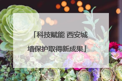 科技赋能 西安城墙保护取得新成果