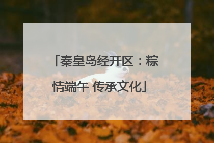 秦皇岛经开区：粽情端午 传承文化
