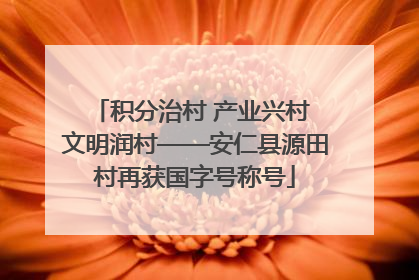 积分治村 产业兴村 文明润村——安仁县源田村再获国字号称号