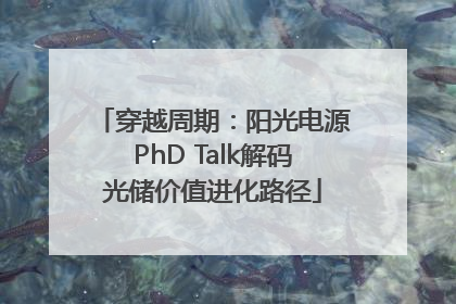 穿越周期：阳光电源PhD Talk解码光储价值进化路径