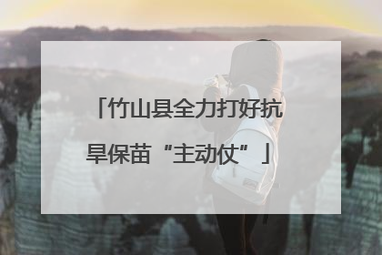 竹山县全力打好抗旱保苗“主动仗”