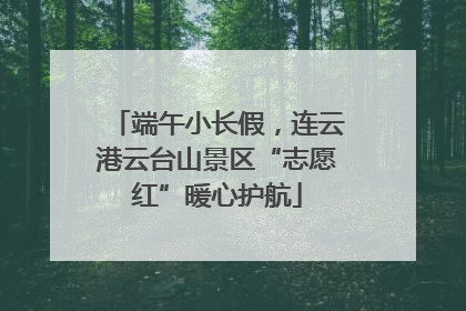 端午小长假，连云港云台山景区“志愿红”暖心护航