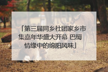 第三届同乡社团家乡市集嘉年华盛大开幕 巴蜀情缘中的绵阳风味