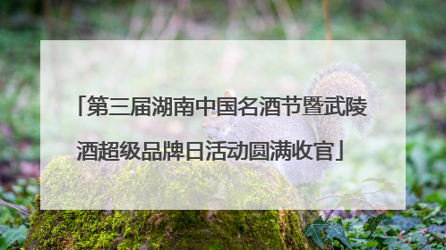 第三届湖南中国名酒节暨武陵酒超级品牌日活动圆满收官