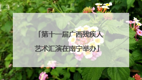 第十一届广西残疾人艺术汇演在南宁举办